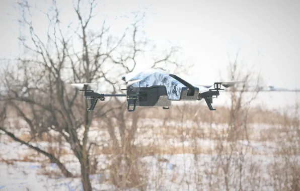 Winter, forest, technology, forest, winter, drone, technology, quadcopter