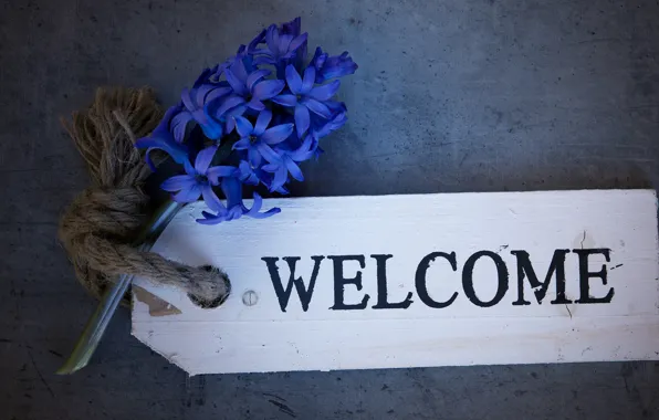 Picture flowers, blue, retro, sprig, background, the inscription, plate, dark