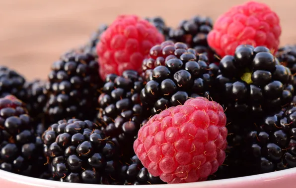 Summer, macro, close-up, nature, berries, raspberry, background, Shine
