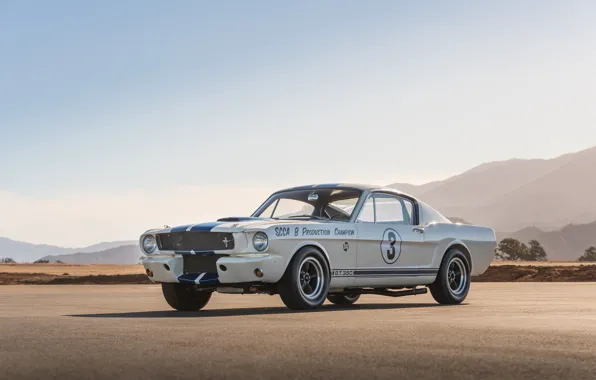 Picture Mustang, Ford, Shelby, 1965, GT350, Shelby GT350