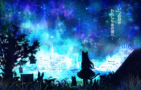 Picture animals, cat, water, girl, night, the city, lights, hare