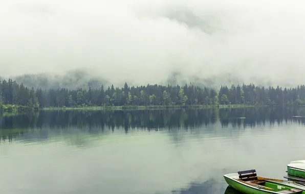 Picture forest, fog, lake, boat, photo, photographer, markus spiske
