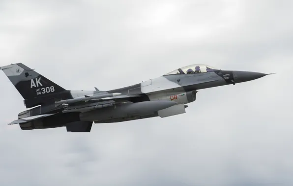 F-16, Fighting Falcon, Red Flag, UNITED STATES AIR FORCE, General Dynamics, the fourth generation fighter, …