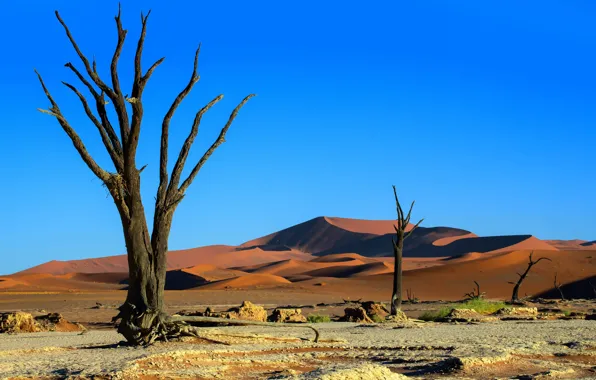 Picture landscape, Sands, Namibia