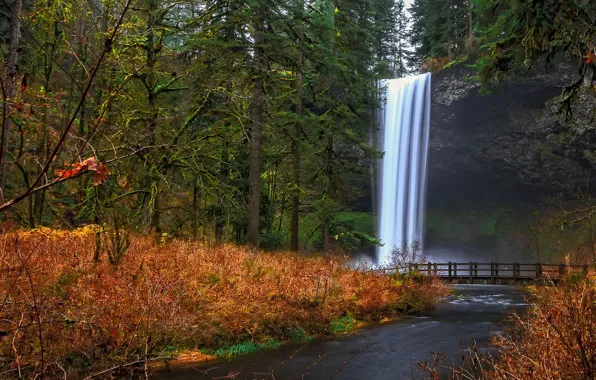 Picture autumn, forest, trees, bridge, rock, Park, river, waterfall