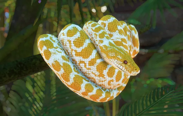 Picture Python, rendering, nature, snake, bokeh, yellow