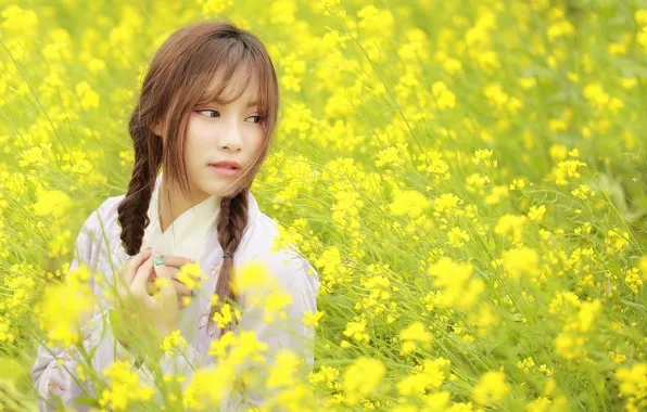 Picture field, summer, face, Asian