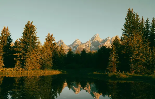 Forest, the sky, the sun, trees, mountains, USA, Wyoming, Snake River