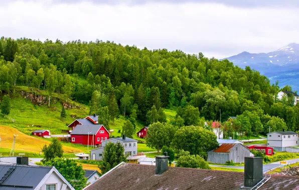 Roof, the sky, grass, clouds, trees, mountains, home, slope