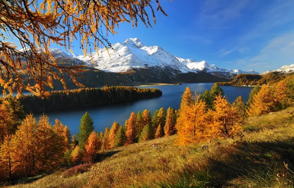 Autumn, forest, mountains, lake, Switzerland, glacier, Silsersee