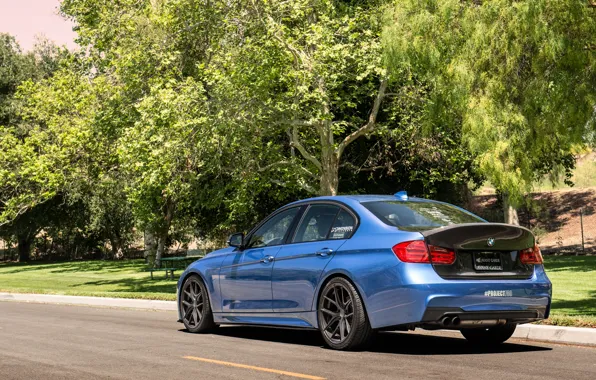 Picture wheels, f30, 328i, Vorsteiner, BMW, blue