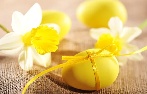Flowers, eggs, Easter, flowers, daffodils, spring, Easter, eggs