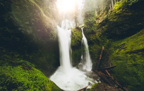 Picture forest, trees, waterfall, Washington, Falls Creek Falls