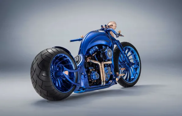 Picture Davidson, Harley, Harley Davidson, Custom, Harley Davidson Blue Edition Custom, Blue Edition