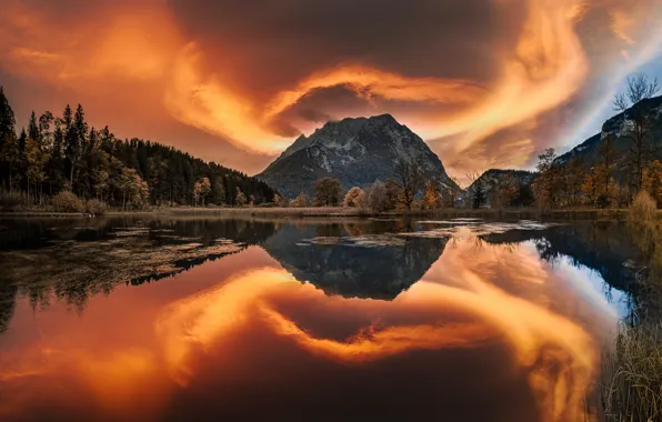 Picture forest, trees, mountains, lake, reflection, Austria, Austria, Styria