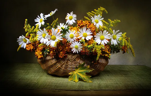 Flowers, chamomile, bouquet, still life, composition