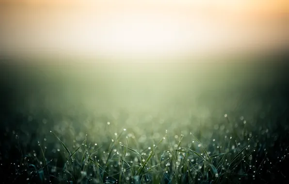 Nature, food, mood