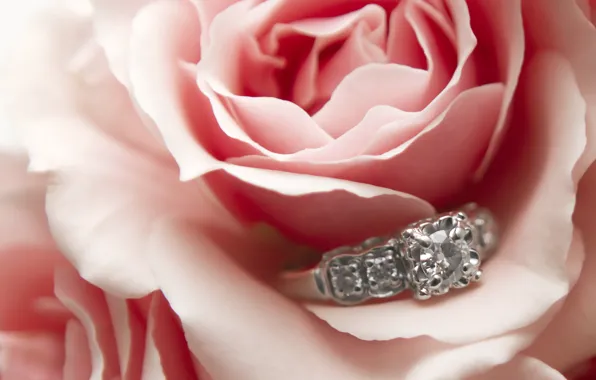 Picture decoration, roses, ring, pink, wedding