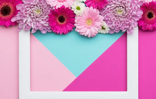 Flowers, background, pink, holiday, blue, triangles, color, bouquet