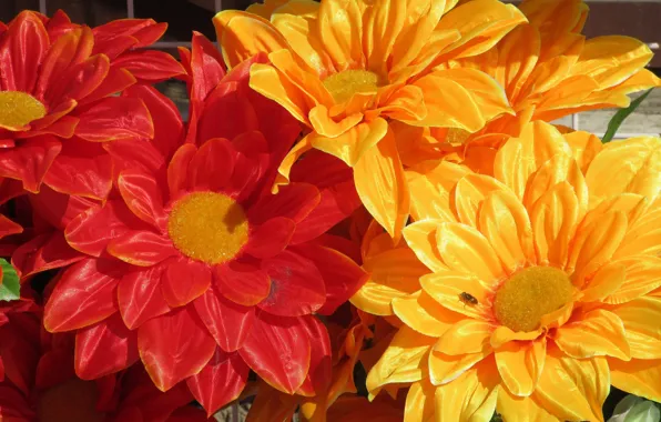 Picture flowers, bright, artificial flowers
