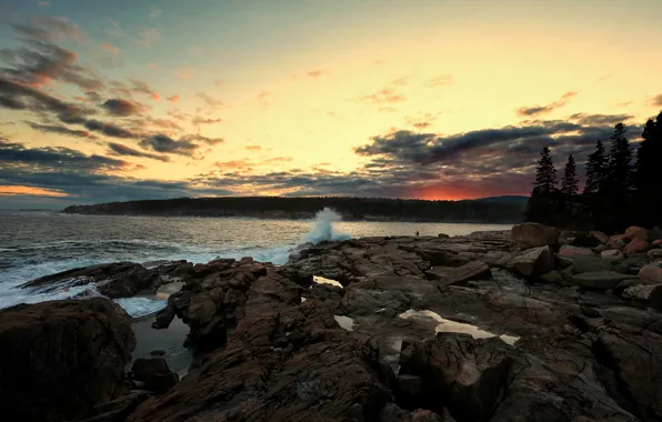 Sunset, Water, Forest, Surf, Shore, Stones, Clouds, Bay