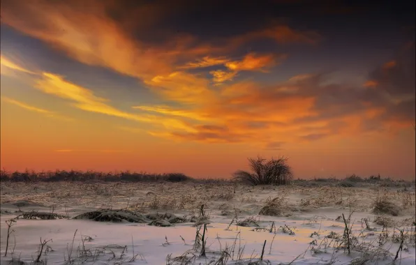 Winter, snow, sunset, the evening