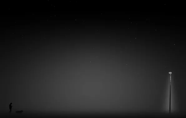 Picture night, people, dog, walk