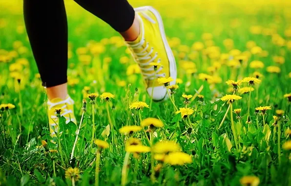 Picture summer, grass, feet, sneakers, dandelions