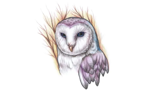 Branches, owl, bird, painting, owl