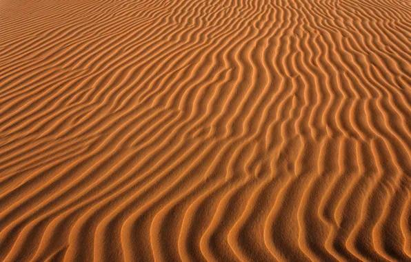 Sand, wave, nature, desert