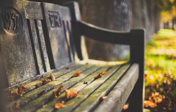Picture autumn, leaves, bench