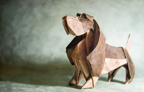 Paper, dog, origami