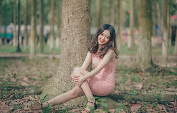 Smile, tree, foliage, Asian, smile, tree, asian, foliage