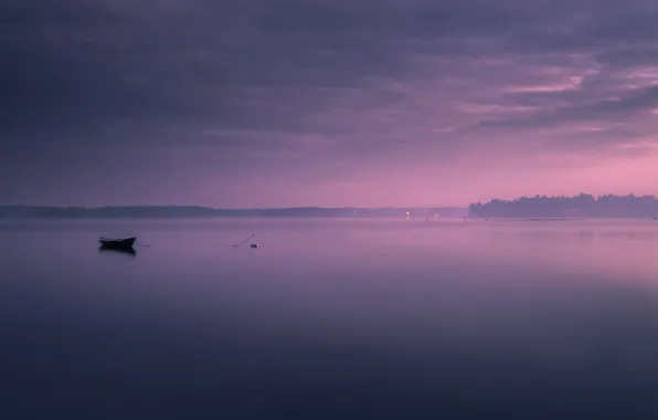Picture fog, lake, boat, morning