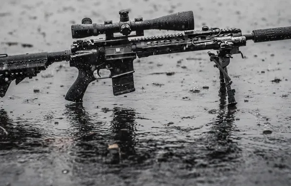 Picture wet, rain, water, assault rifle, tripod, telescopic sight