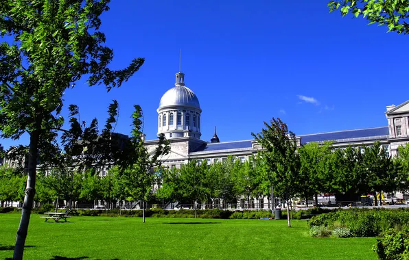Picture grass, trees, Park, Canada, cafe, Montreal, restaurants, historic building