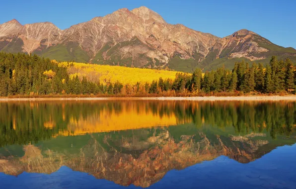 Picture autumn, forest, mountains, lake, reflection, shore, Canada, Banff National Park