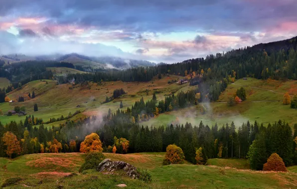 Autumn, forest, mountains, fog, hills, slope, Alps