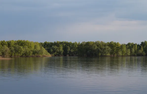Forest, the sky, trees, clouds, nature, river, spring, the evening