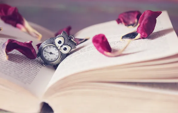 Picture text, owl, watch, petals, book