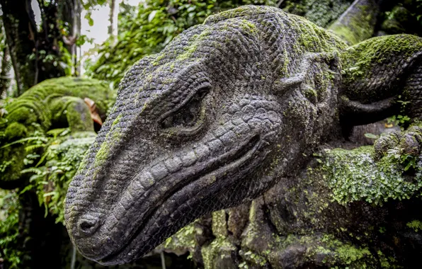 Lizard, monument, Jungle, Sculpture, Bali, Indonesia