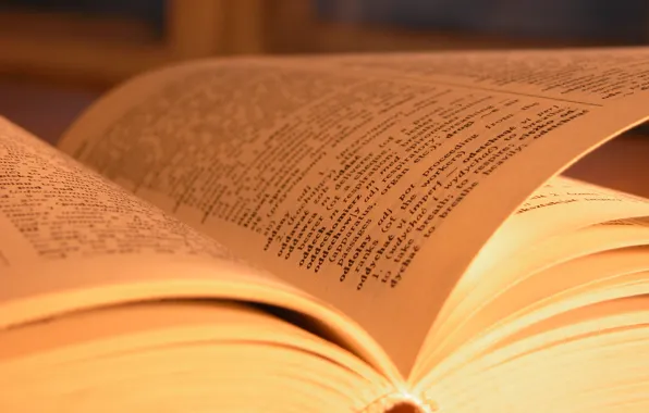 Macro, paper, books, leaves, book