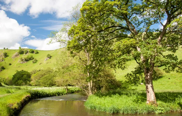 The sky, grass, trees, river, hills, slope