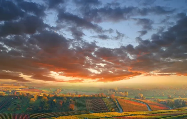 Autumn, field, Clouds