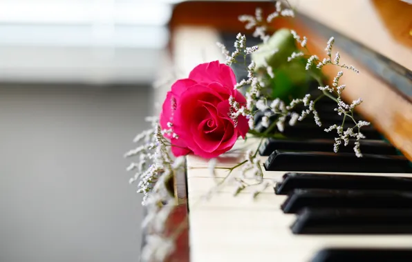 Flowers, music, piano