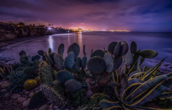 Landscape, night, the city, lights, stones, the ocean, shore, lighting