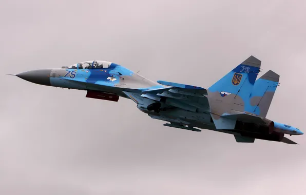 Picture weapons, the plane, SU27