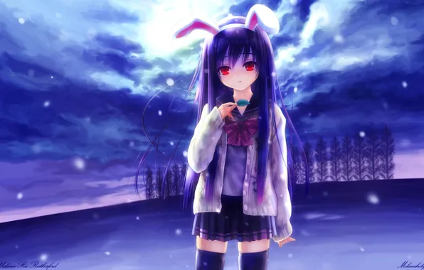 Picture forest, the sky, girl, clouds, snow, anime, ears, Touhou
