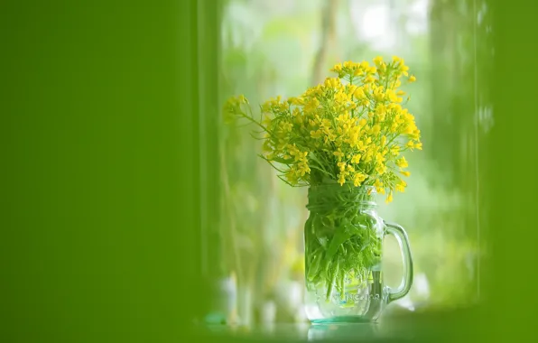 Flowers, color, Bank