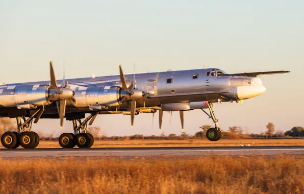 Picture bomber, the plane, Tu-95